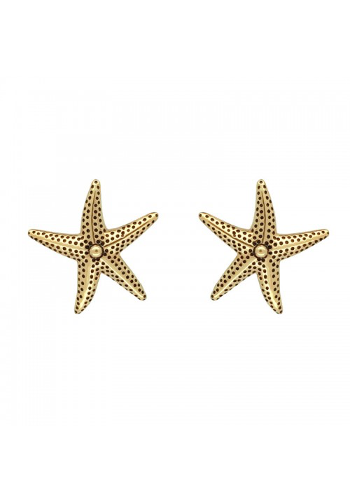 Starfish Stud Earrings - Strange of London