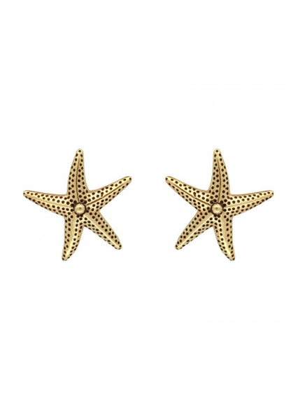 Starfish Stud Earrings - Strange of London